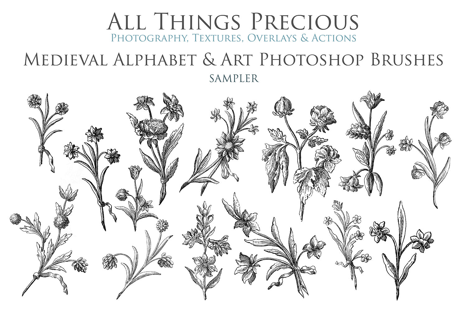 Photoshop brushes for photography and digital design.  Alphabet letters from medieval images. Flowers and bugs. High resolution digital files.  ATP Textures
